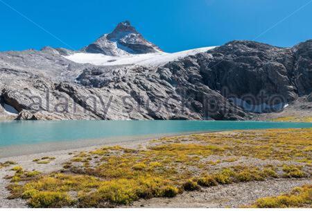 Appartamenti Edelweiss Chaudana Екстериор снимка